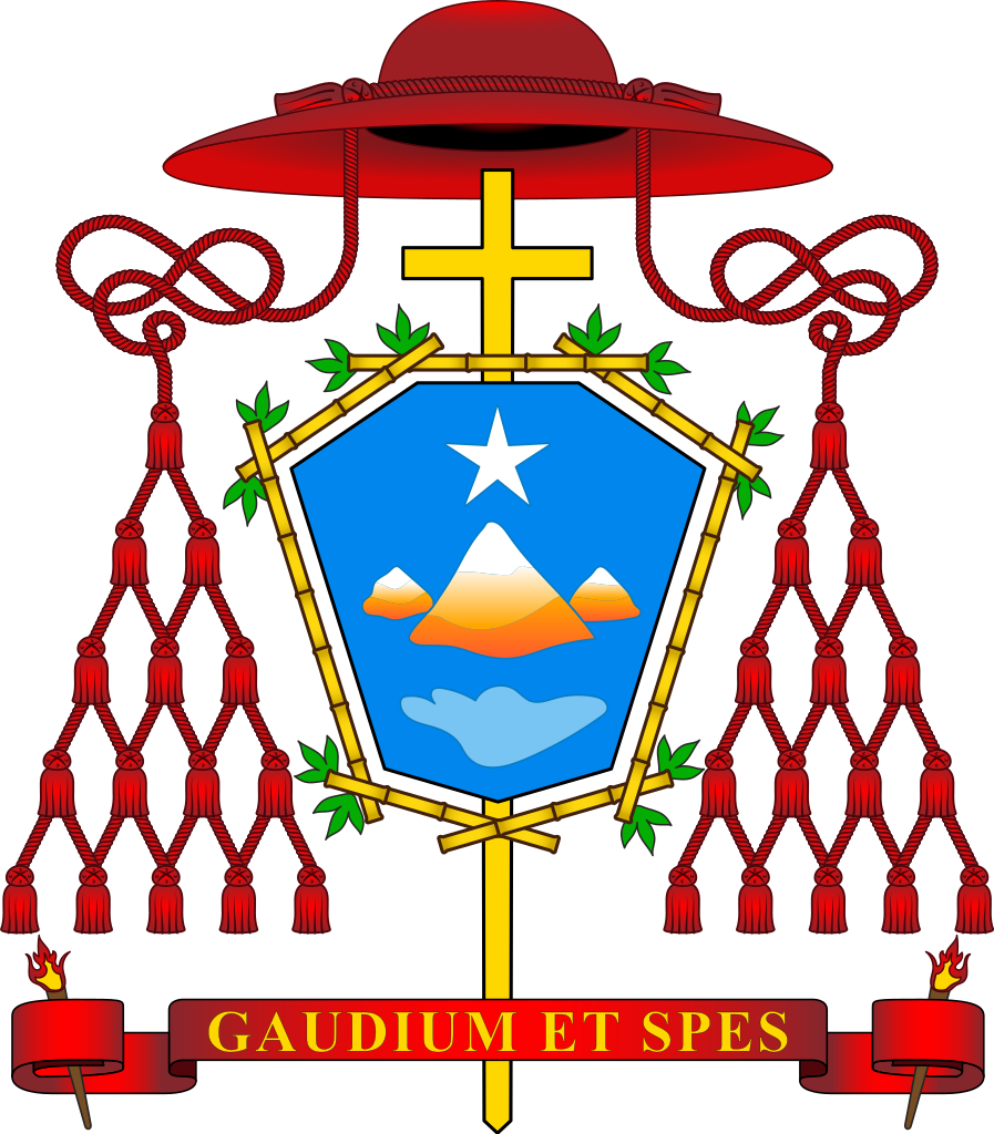 stemma-cardinalizio-van-thua-897x1024.png